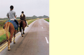 Other road users - You're about to overtake horse riders. What could scare the horses?